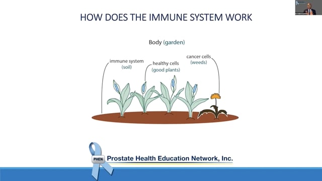 Immunotherapy Treatment for Prostate Cancer