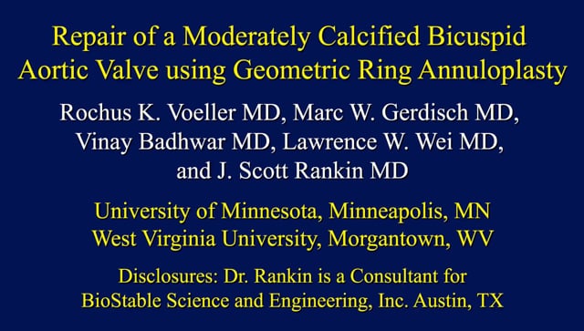 Repair of Moderately Calcified BAV - Dr. Rochus Voeller