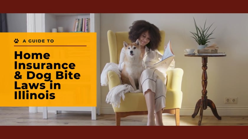 vimeo-video-thumbnail