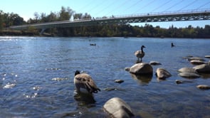 Sacramento River Recreation Trail.mp4