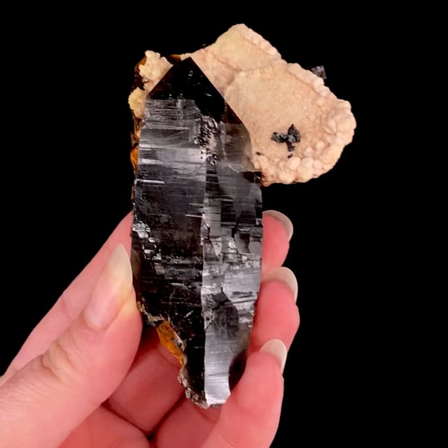 Quartz (var: Smoky) on Microcline with Hematite pseudomorphs after Siderite (fine quality)