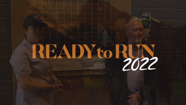 2022 Ready Run Sale | Shane Crawford