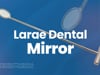 Large Dental Mirrors | Equine Surgical Instruments | GerVetUSA Inc