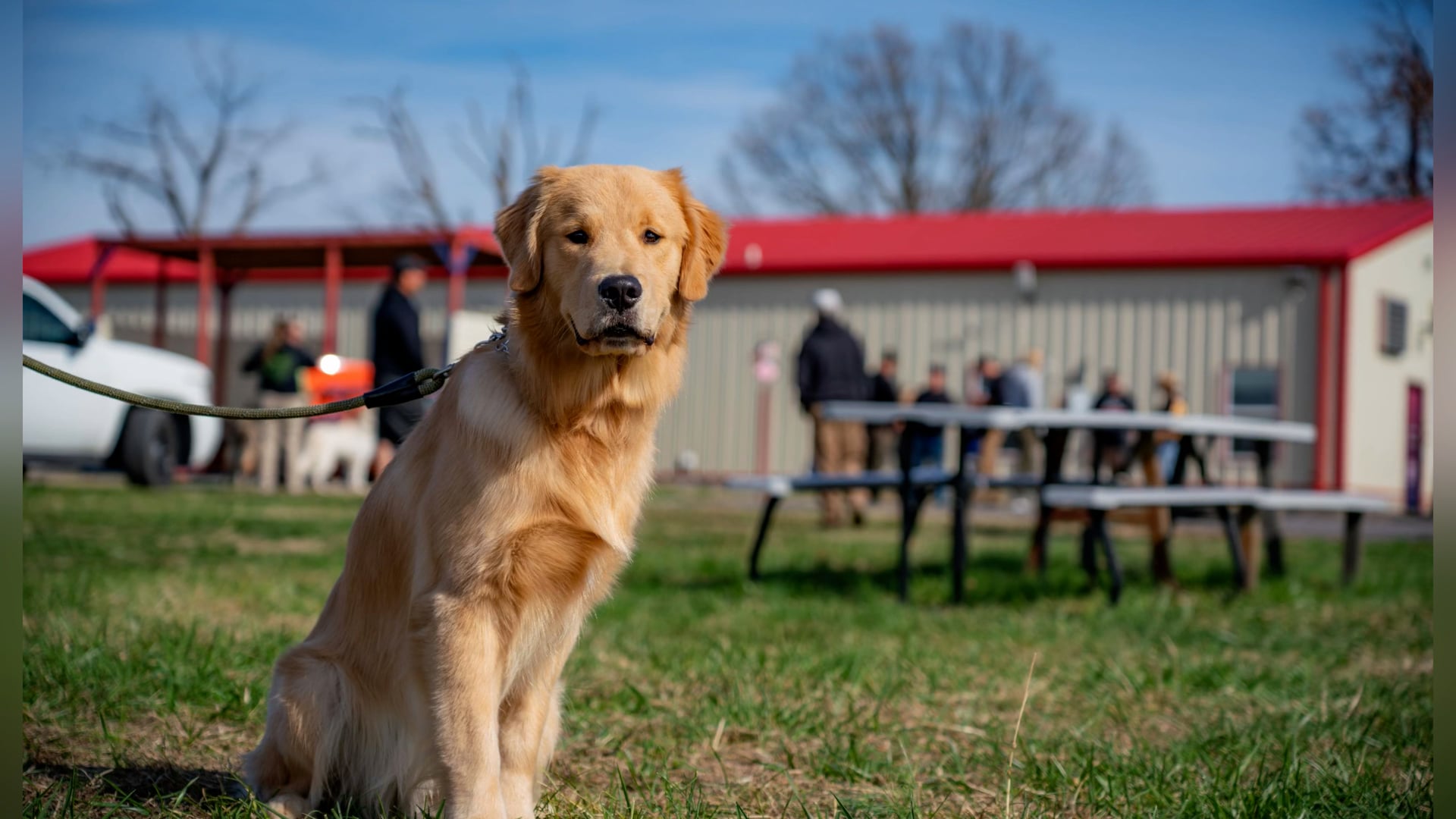 Dog Training - Full Send K9, LLC