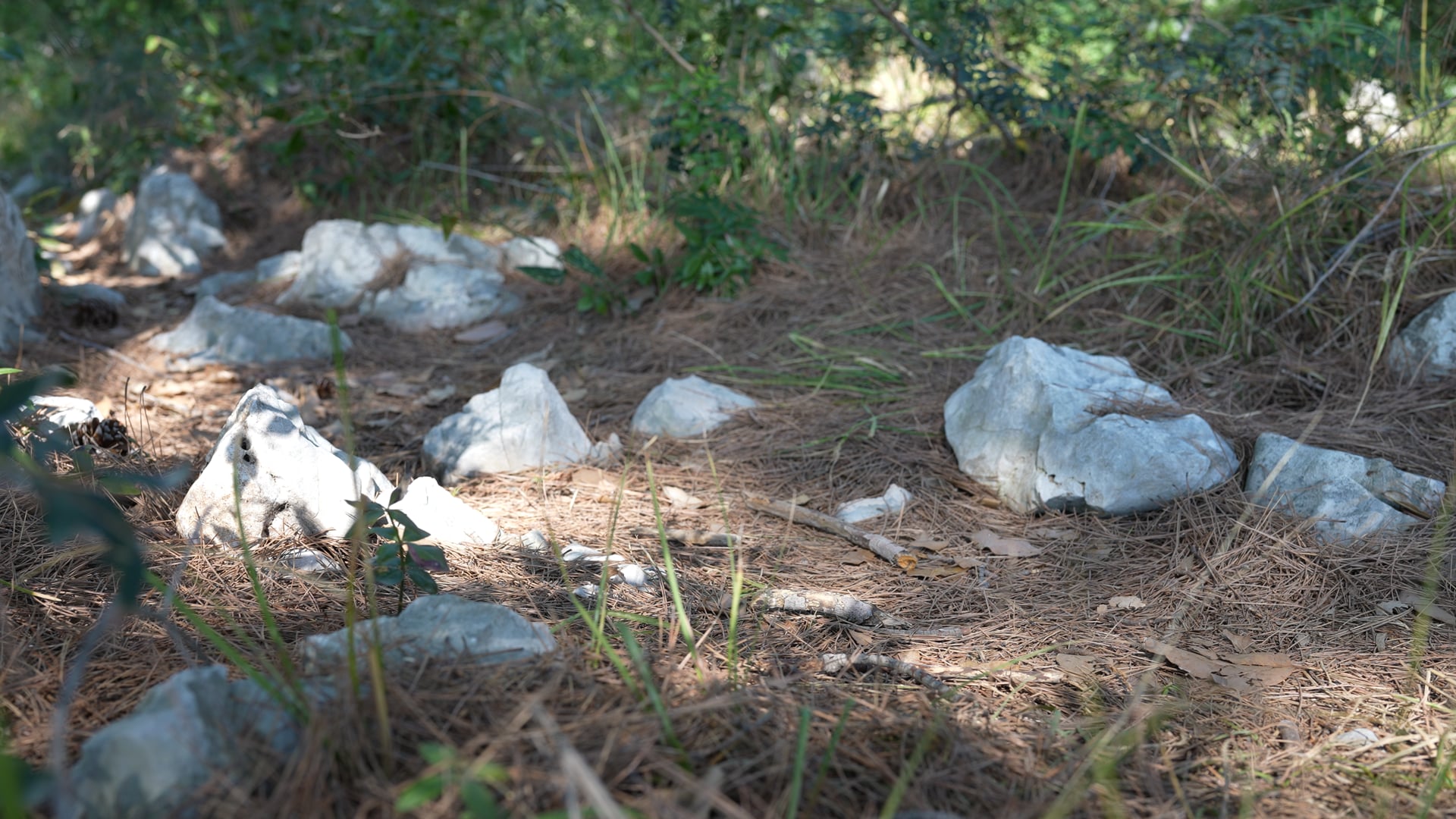 Man barefoot walking in nature