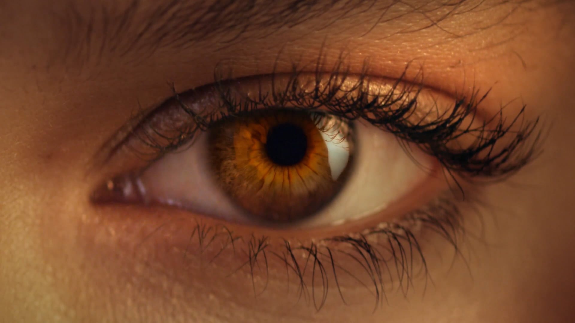 XBOX ONE "Feel True Power" | PSYOP