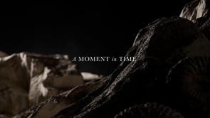 Diageo Rare and Exceptional Video Poster