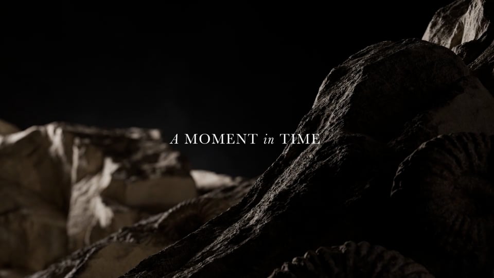 Diageo Rare and Exceptional Video Poster