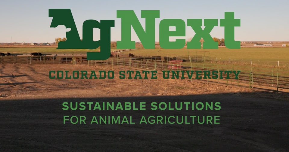 AgNext Profile
