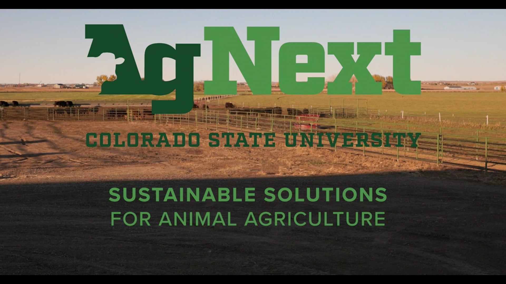AgNext Profile