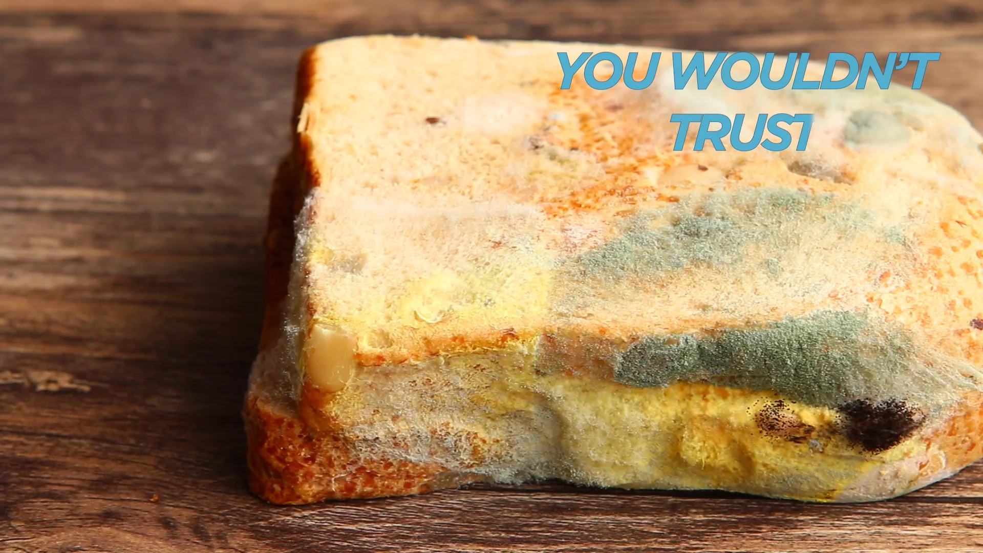 Expired Sandwich_110822_FB on Vimeo