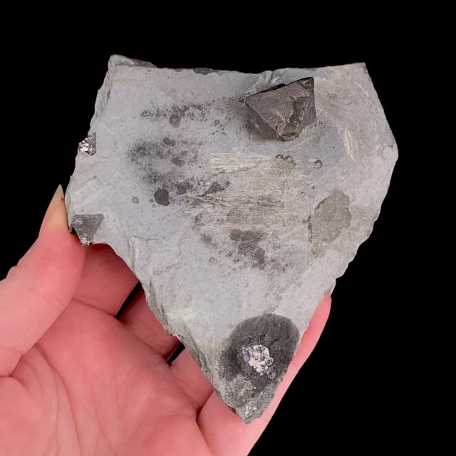 Magnetite (rare locality specimen)