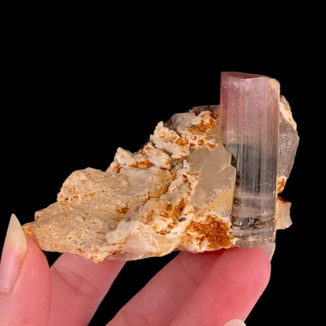 Tourmaline (bi-colored crystal) with Quartz and Microcline
