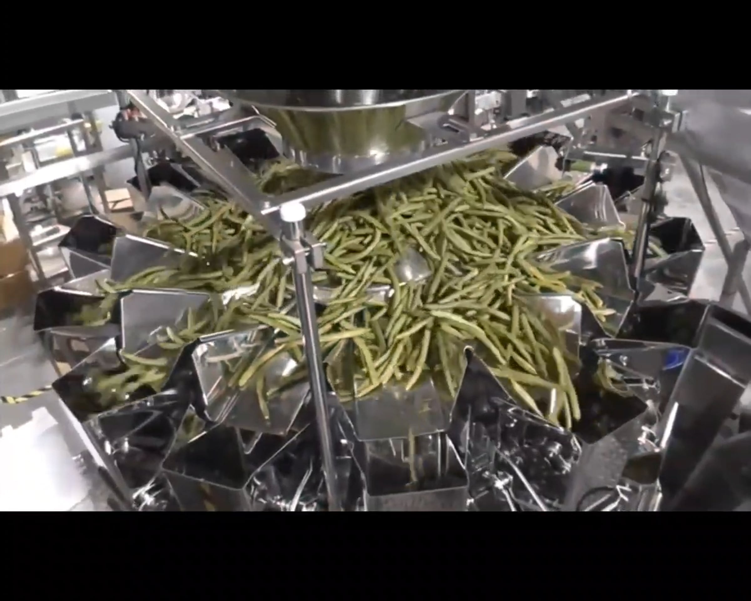 Green Bean VFFS Packaging Line | Videos & Movies on Vimeo
