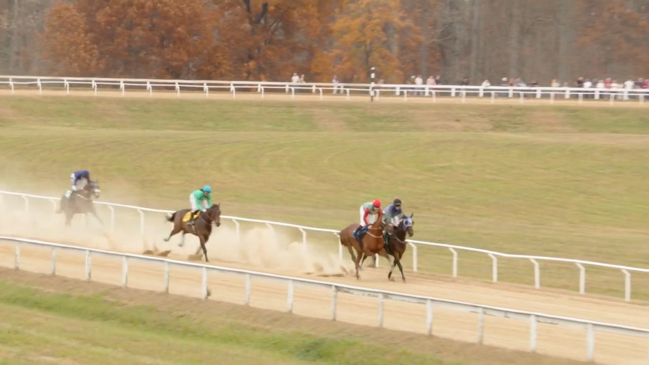 2022 Montpelier Hunt Races - 110522 Montpelier R 1 on Vimeo
