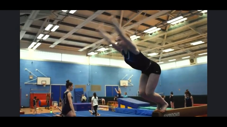 Kestrel Gymnastics Group logo
