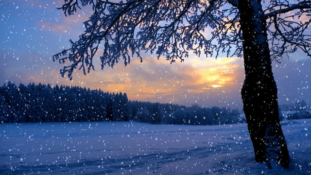 enfant dans l'hiver. une content garçon dans brillant vêtements pièces dans  le neige. 23407509 Photo de stock chez Vecteezy