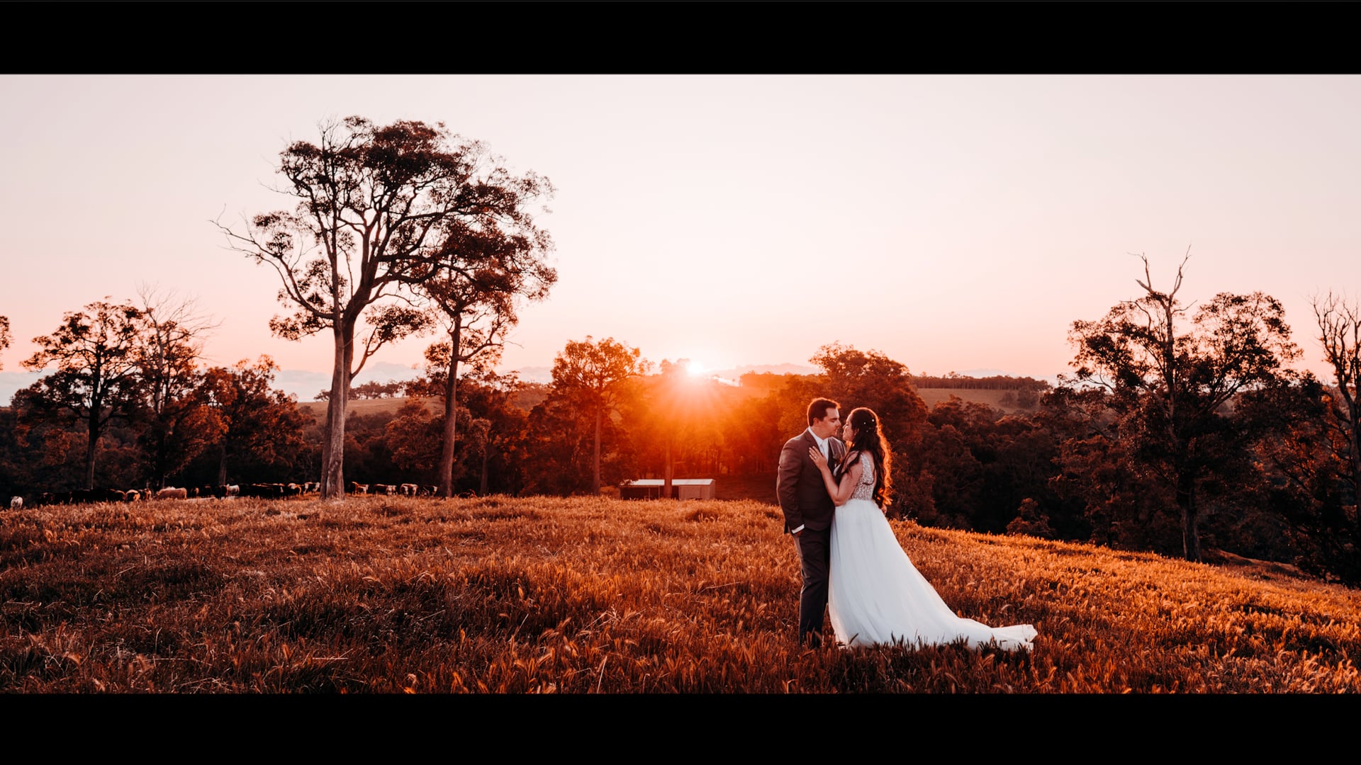 Ellouise & Dean's Edith Valley Wedding Highlights