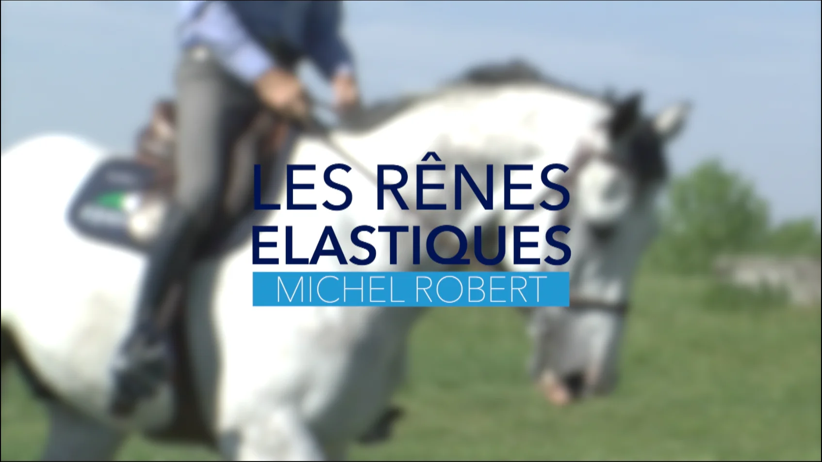 Entraînement biceps : renforcement avec élastiques pour des bras