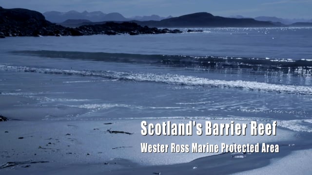 Pink Maerl & Salmon Farms - Jason Hall-Spencer in the Highlands