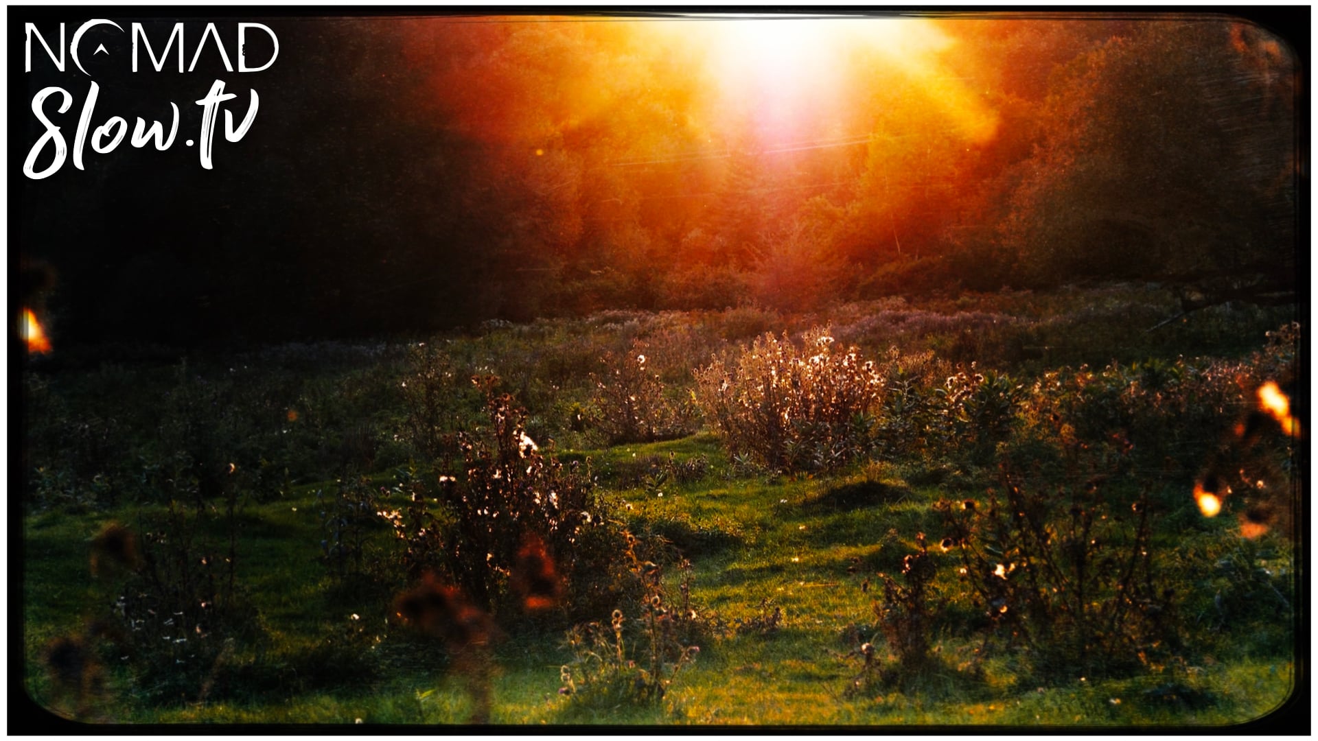 A Most Beautiful Farm Field