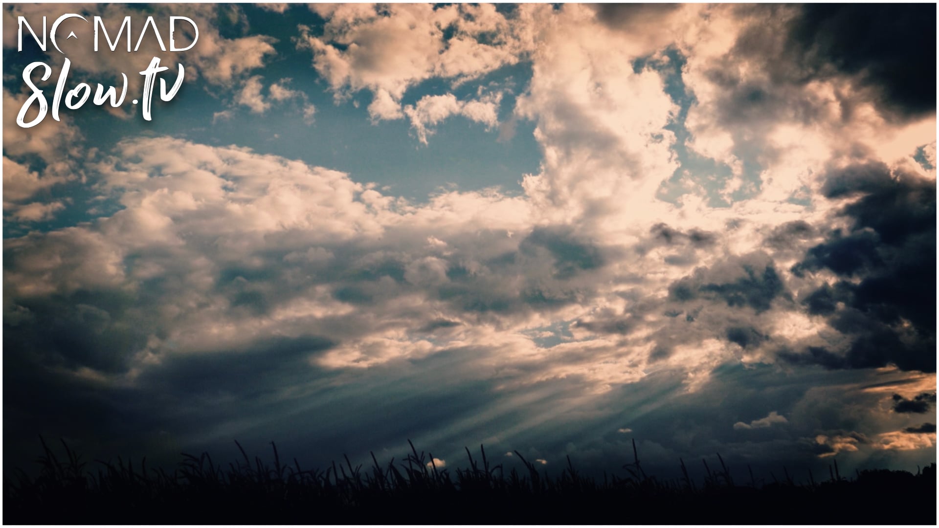 Farm Fields - Tim Kahn - Linince