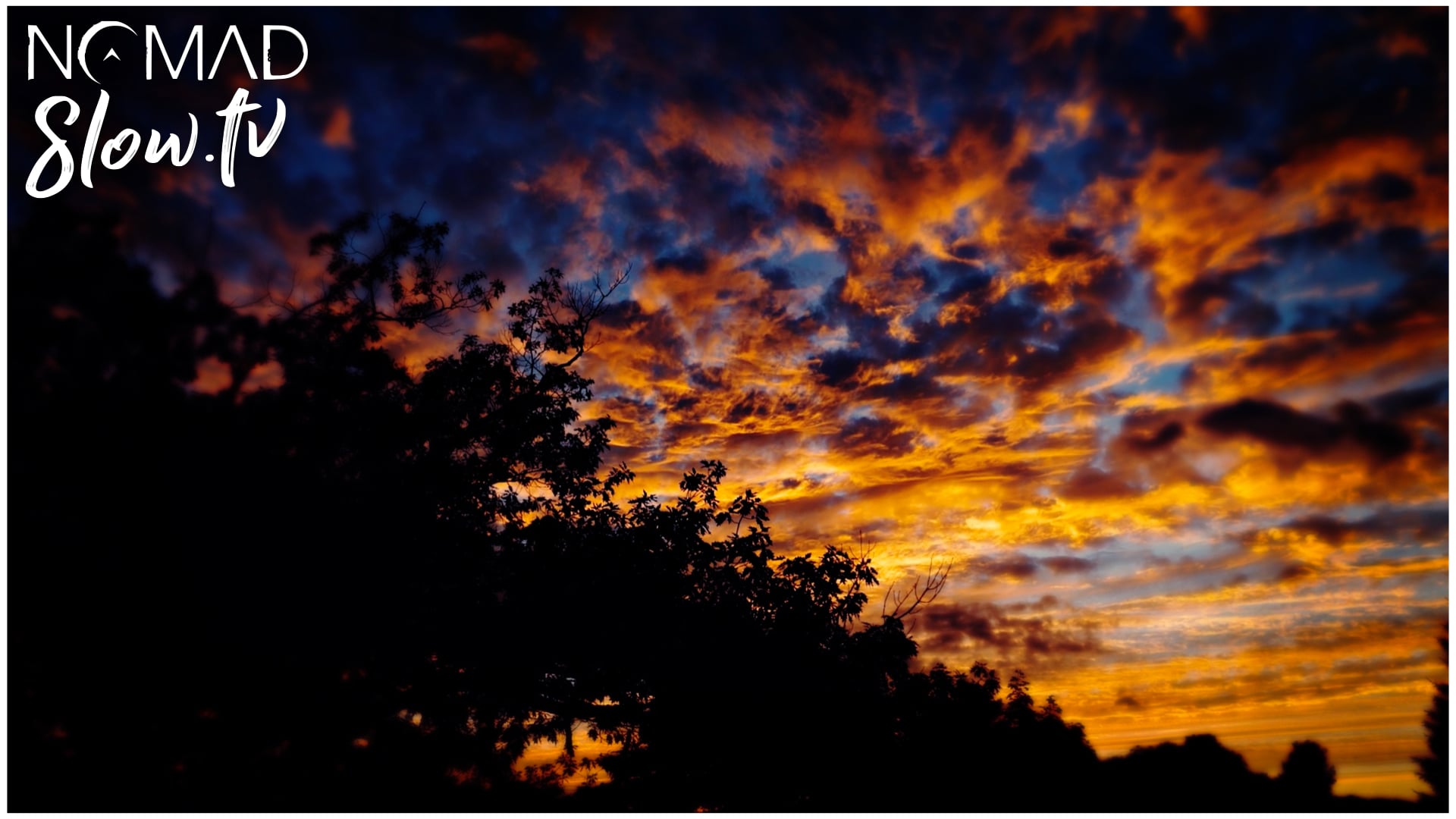 Sunset through Leaves Meditation