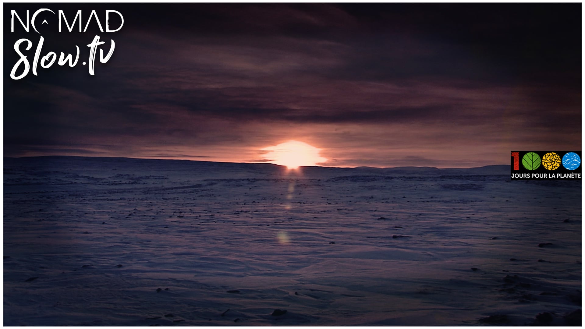 The Arctic - 1000 jours pour la planète