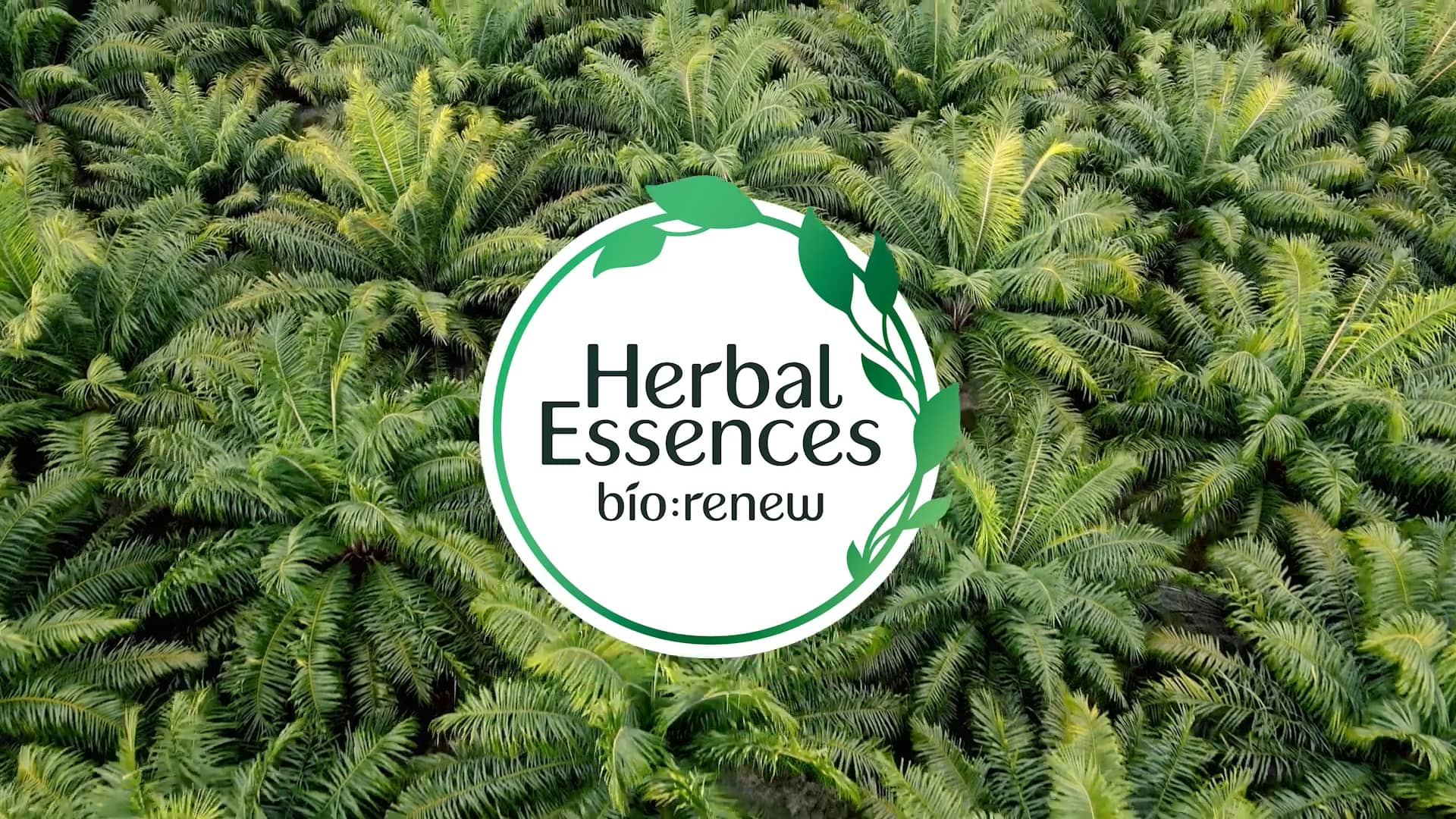 Herbal Essences 2022 Egyptian Market.mp4 on Vimeo