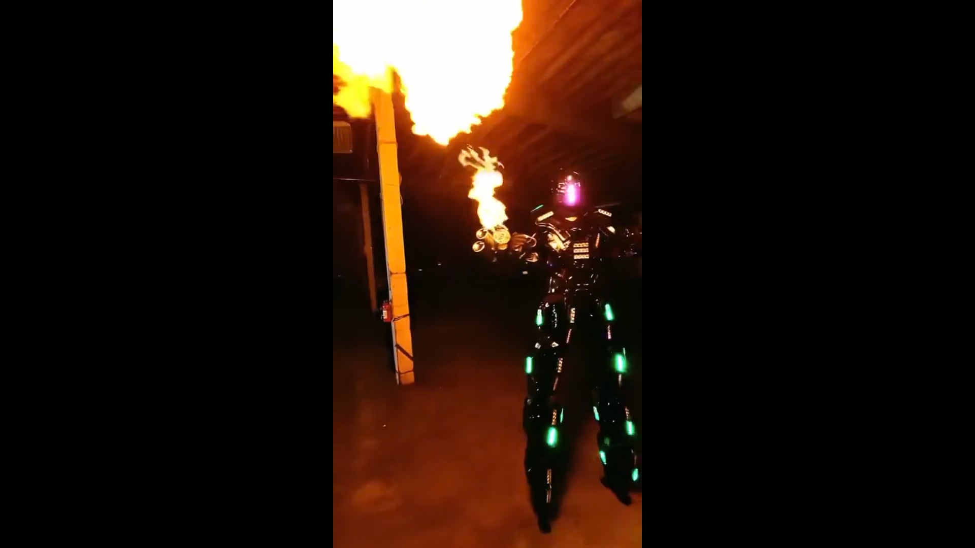 Promotional video thumbnail 2 for The Kozmik Twinz Stilts and Fire