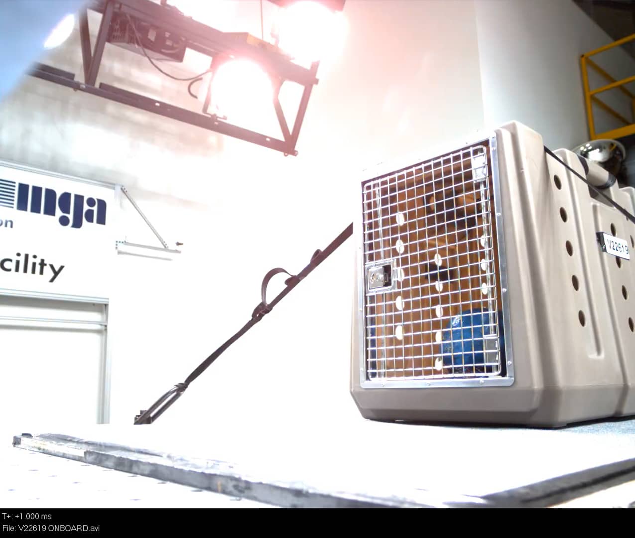 Cabelas Gun Dog Intermediate Kennel on Vimeo