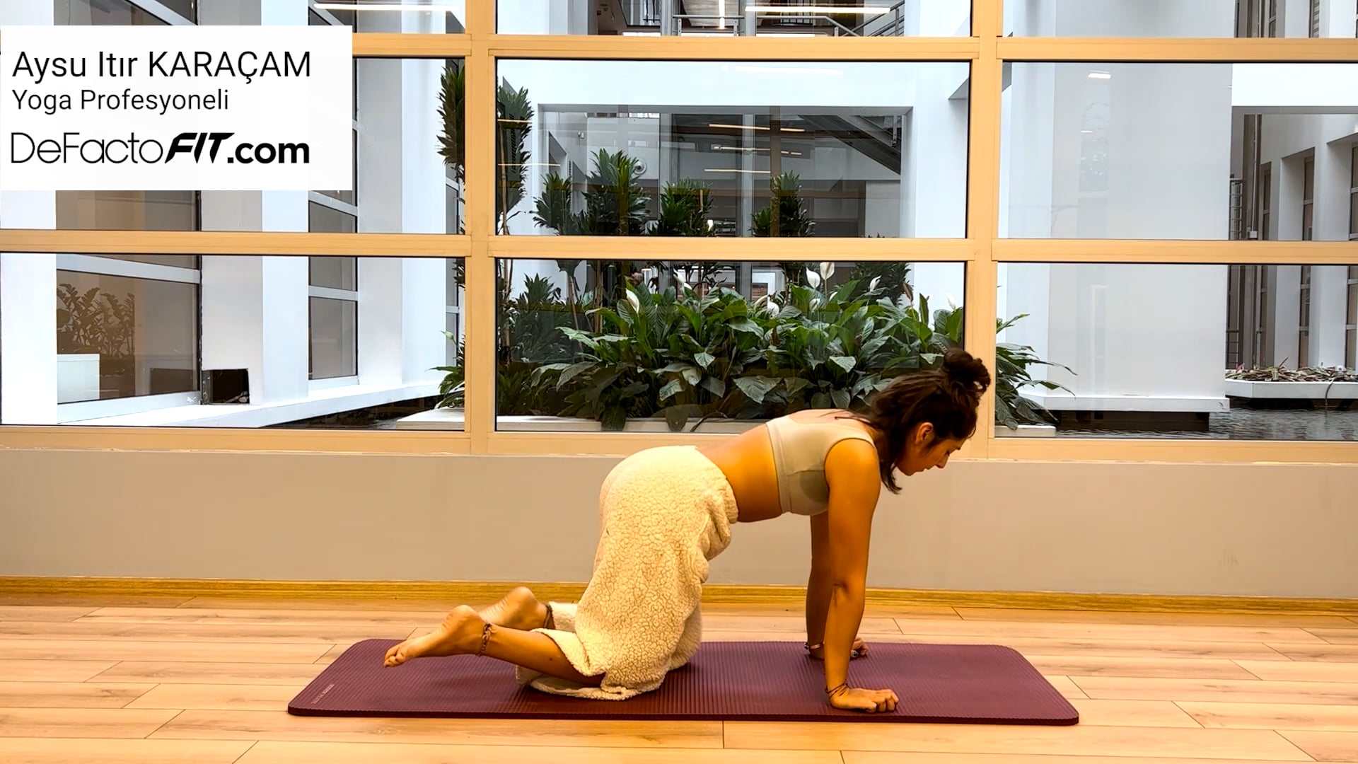 Pincha Mayurasana Hazırlık