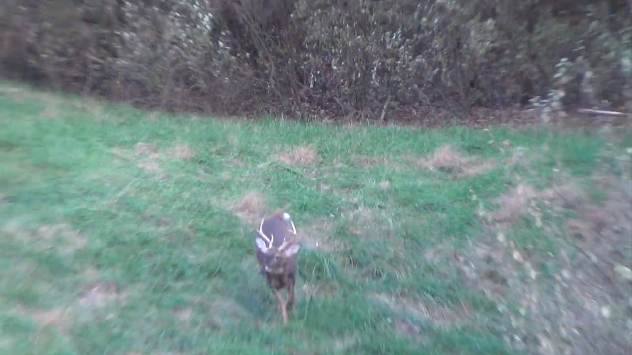 Thanksgiving - Whitetail Deer Hunting in Virginia on Vimeo