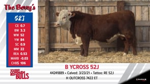 Lot #52J - B YCROSS 52J
