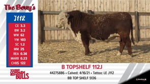 Lot #J112 - B TOPSHELF 112J