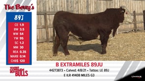 Lot #89J - B EXTRAMILES 89JU