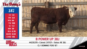 Lot #38J - B POWER UP 38J