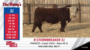 Lot #3J - B STORMBREAKER 3J