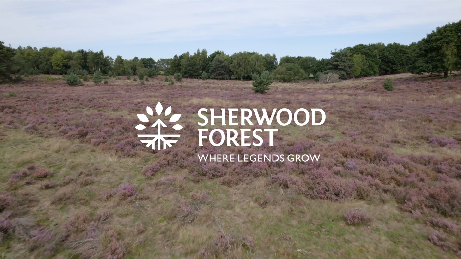 RSPB Sherwood Forest 2022 Overview Mov On Vimeo   1551986782 A71d24555a45ef30bf0e59c7eb67274e59e3f080a52597fc84979272532d8c73 D