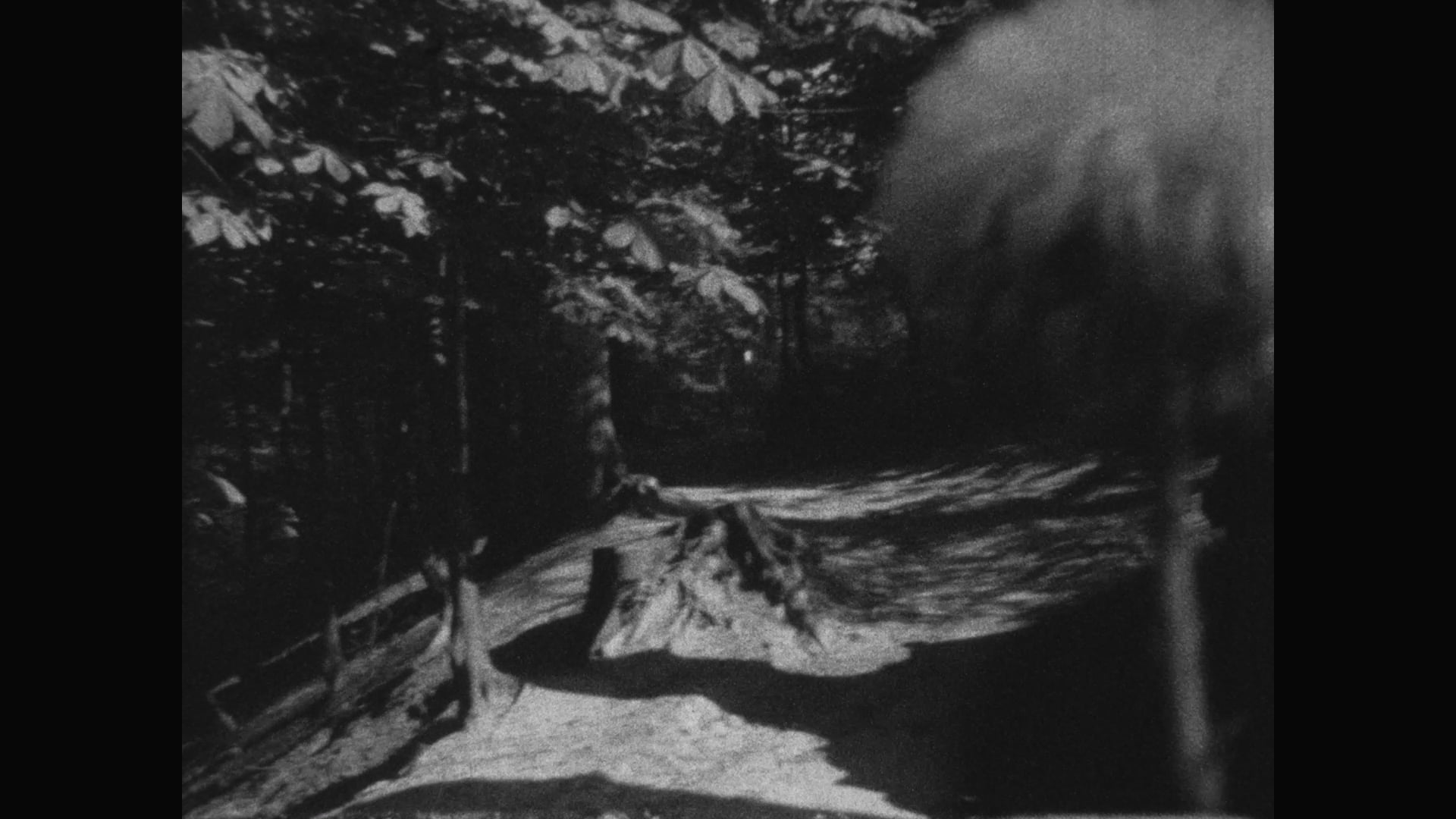 SUPER 8 FICTION