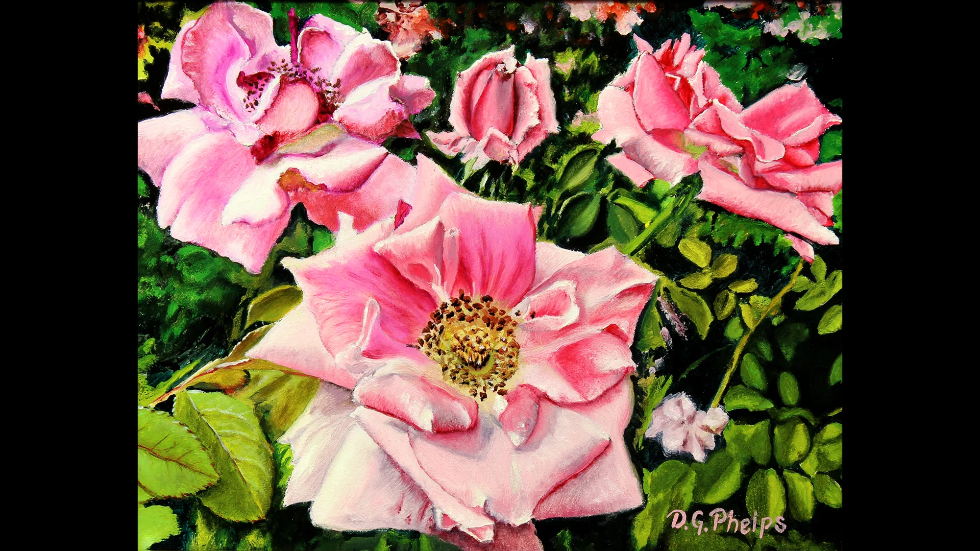 Delmus Phelps - Work Zoom: Pink Rose Garden