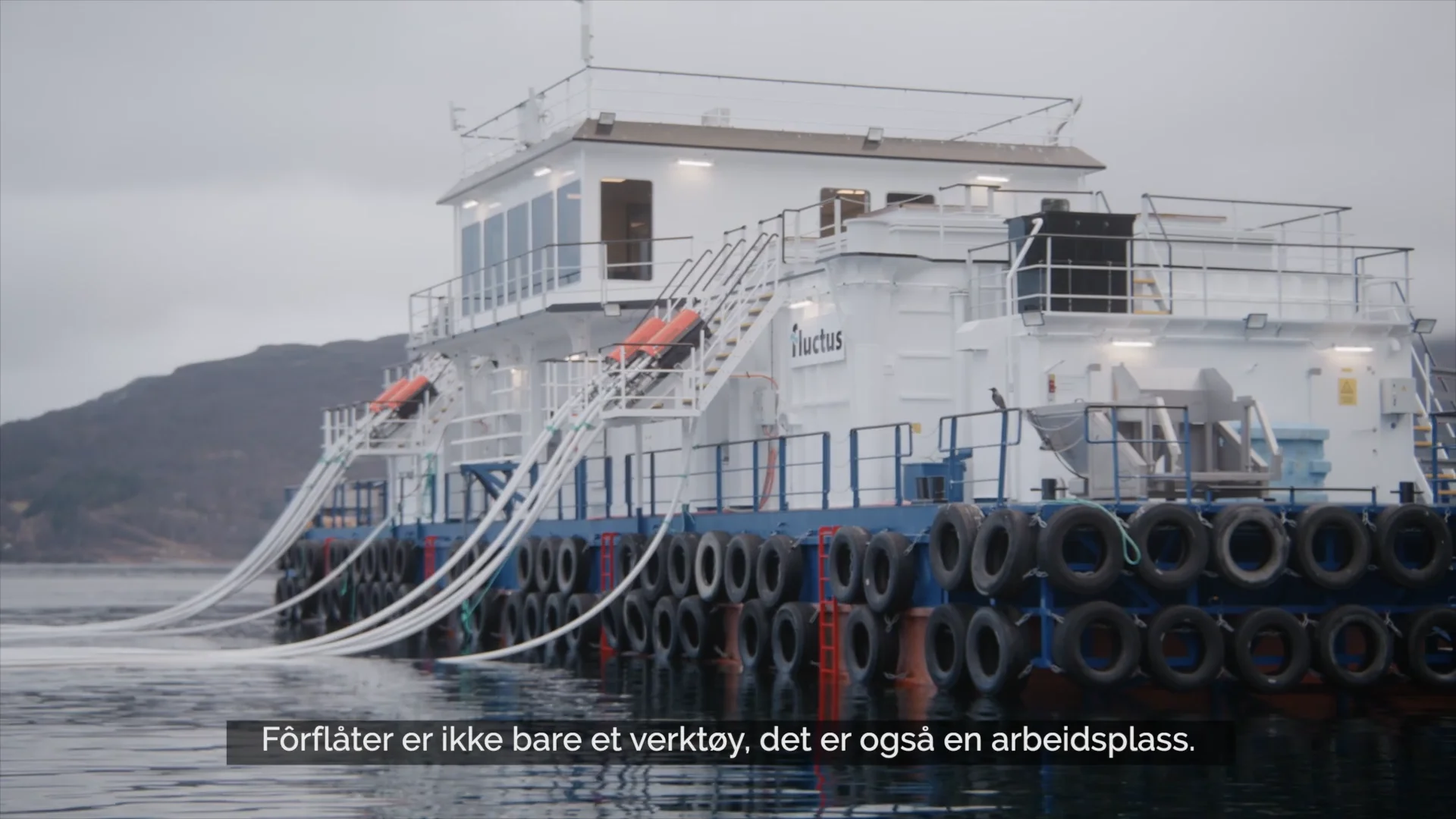 Fôrflåte fra Fluctus: Den effektive, trygge fôringssentralen