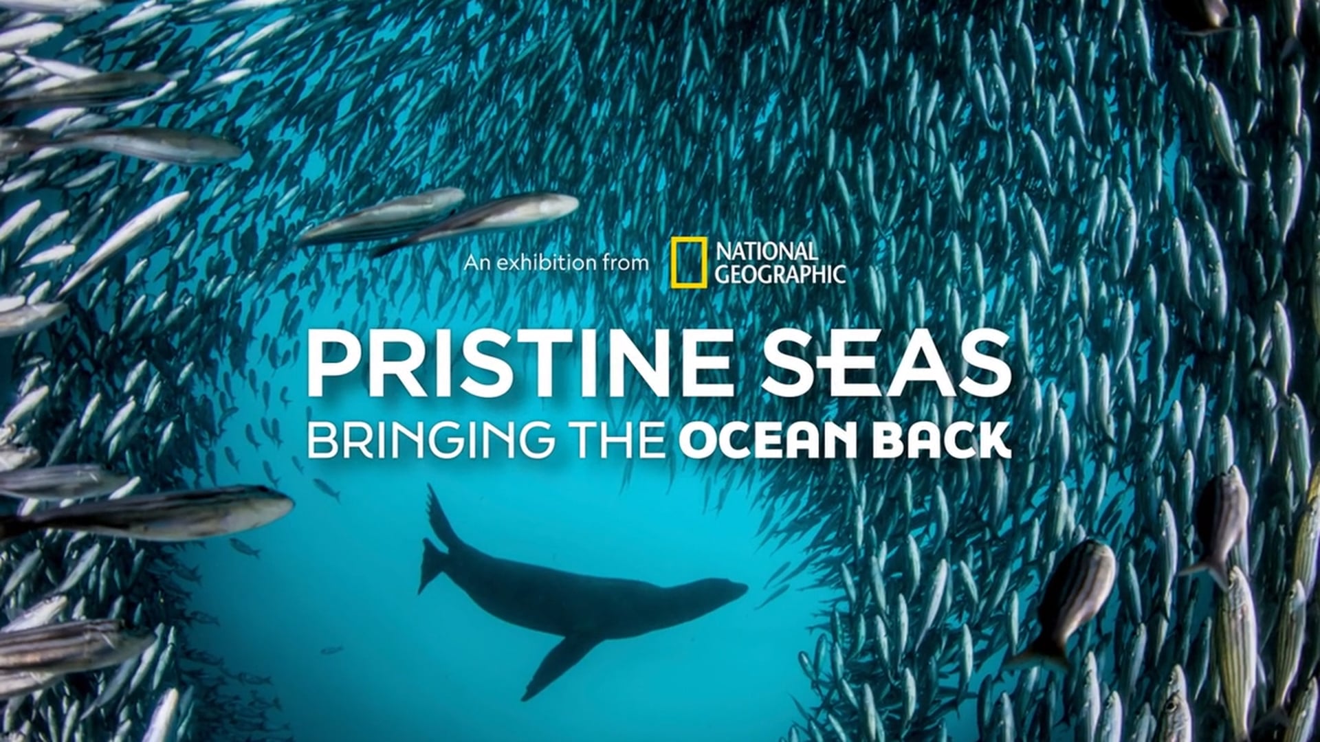 National Geographic - Pristine Seas Exhibit