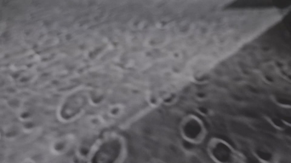 Moonrise