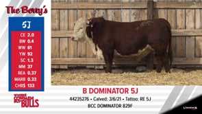Lot #5J - B DOMINATOR 5J