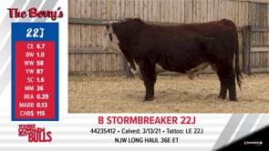 Lot #22J - B STORMBREAKER 22J