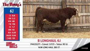 Lot #6J - B LONGHAUL 6J