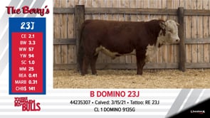Lot #23J - B DOMINO 23J