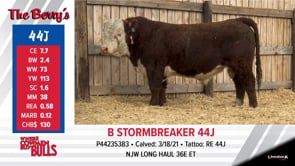 Lot #44J - B STORMBREAKER 44J
