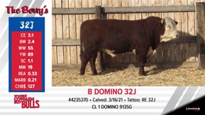 Lot #32J - B DOMINO 32J